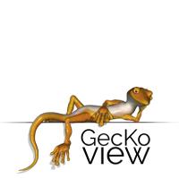 GecKo view